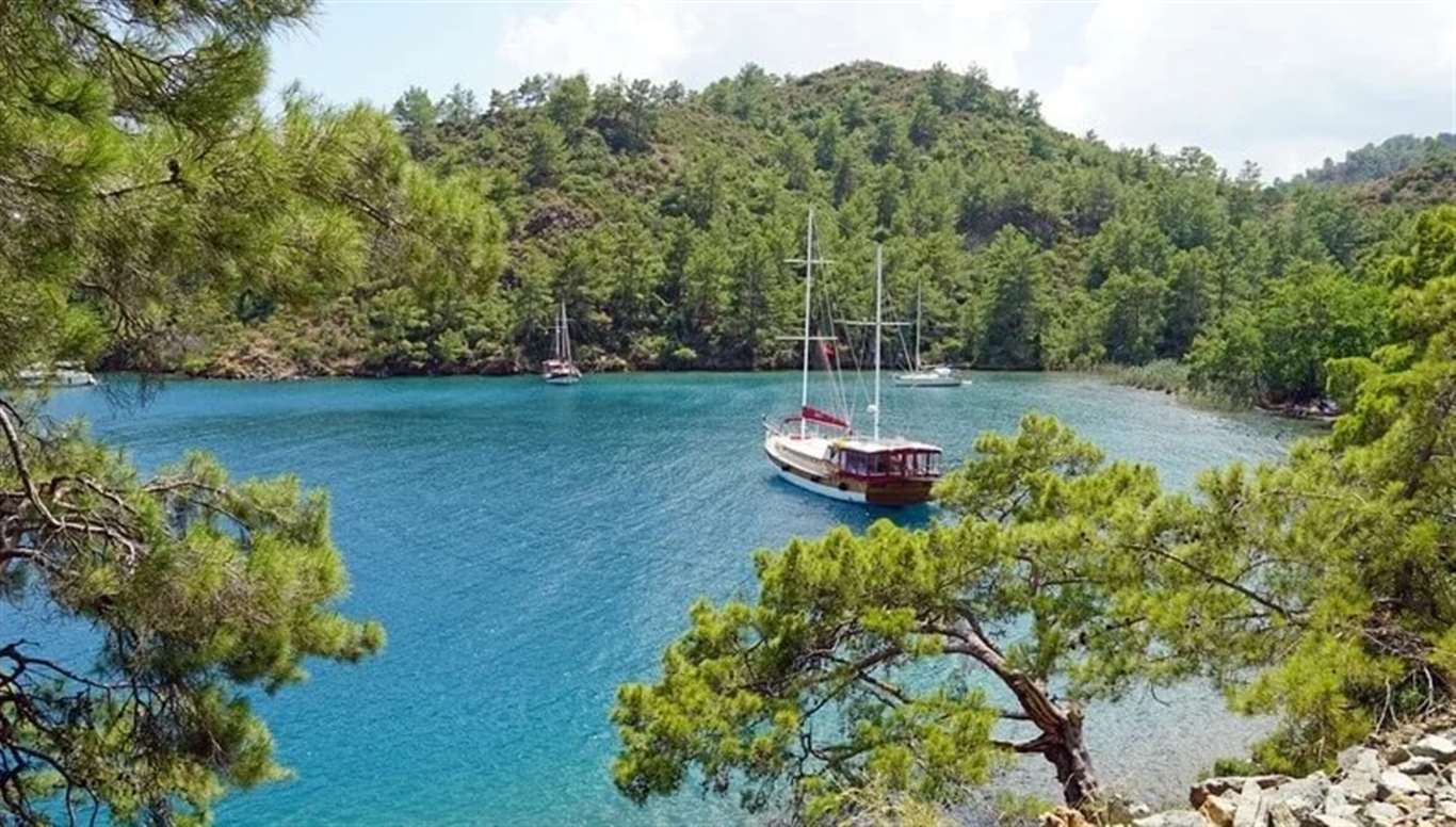 Ak Parti duyurdu: Protesto yapılan koy halk plajı olacak haberi